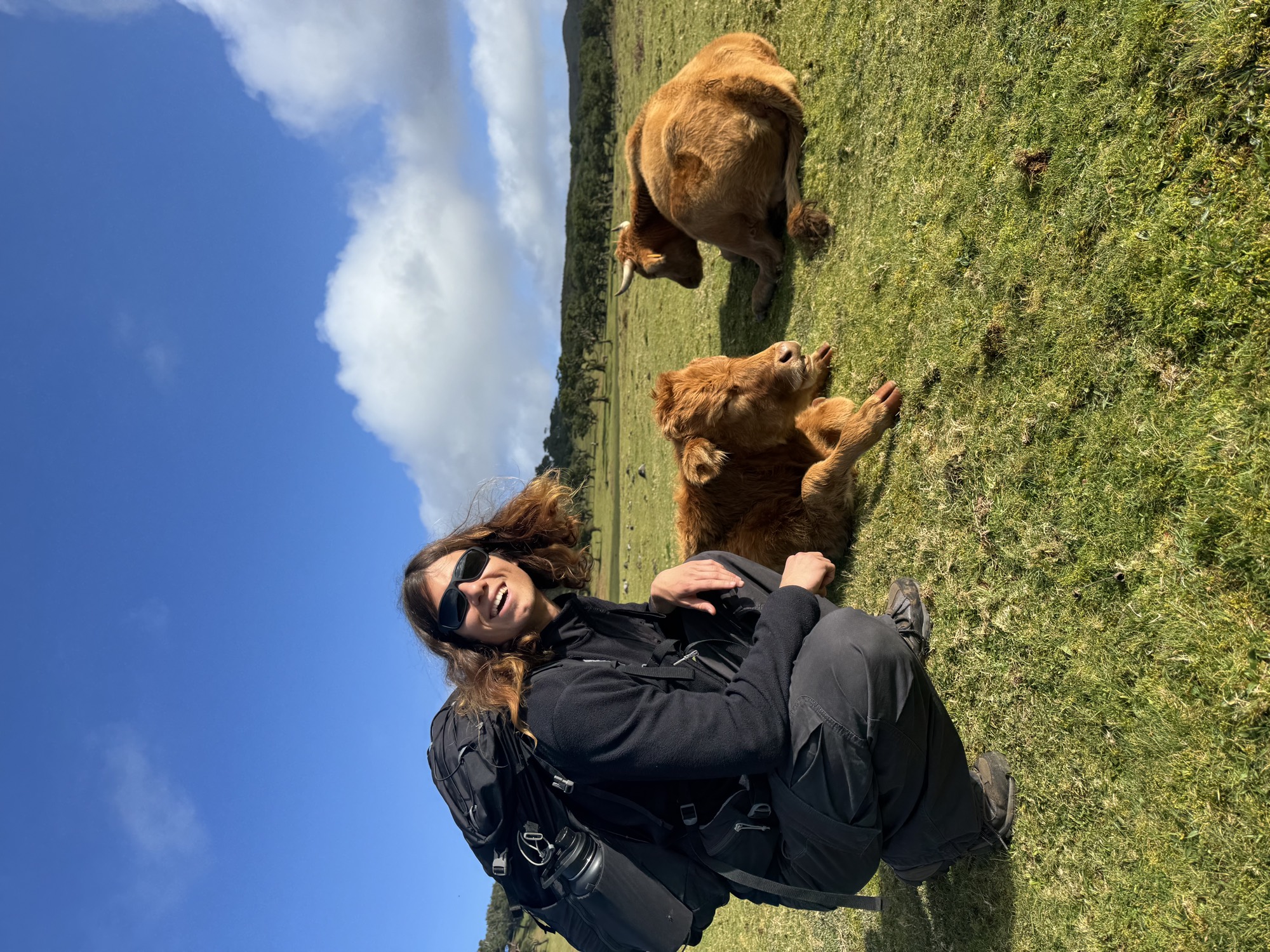 Santi con vacas en Madeira